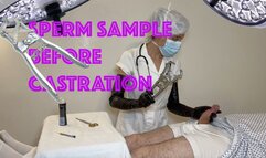 SPERM SAMPLE BEFORE CASTRATION WITH LONG LATEX GLOVES AND ELASTRATOR (MOV)