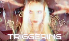 THE TRIGGERING
