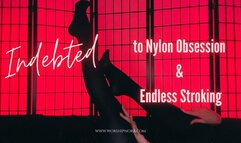 Indebted To Nylon Obsession And Endless Stroking