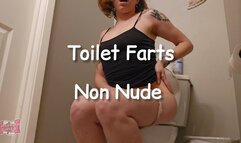 Toilet Farts Non Nude
