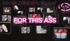 Drone Zone Stroke Pay
