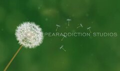 Busting Out On The Playground