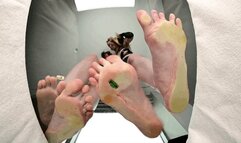 Goddess Charlie and Brookyln Bully GIANT parking enforcement! - MOV