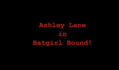 Ashley Lane Batgirl Bound