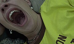 lie down on the bed to yawn mp