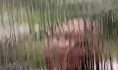 Uninvited vixen ties you up