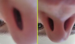 Flaring Nostrils Up Close