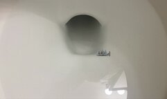 Tiny City Floating in Giantess Huge Toilet 1080