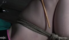 Kate Kennedy, London River - Dinosaur Zoo