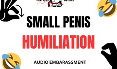 Small Penis loser humiliation audio with Mistress Deville