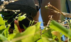 Unaware Giantess Does Yardwork