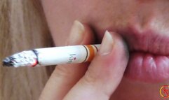 KIM Orange Follow the cigarette