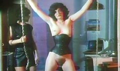 Master Control Clip Three 640x480 wmv