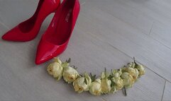 I crushed a lot of roses with red shoes a