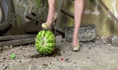 Jeanette's Watermelon FunWMV