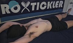 House Of Rox: Braiden