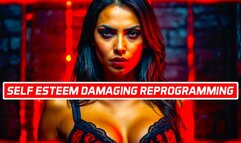 Self Esteem DAMAGING Psychological Reprogramming