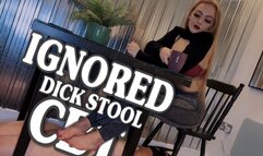 IGNORED DICK STOOL CBT (1080p)