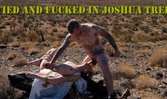 jtree bondage sex with faerie